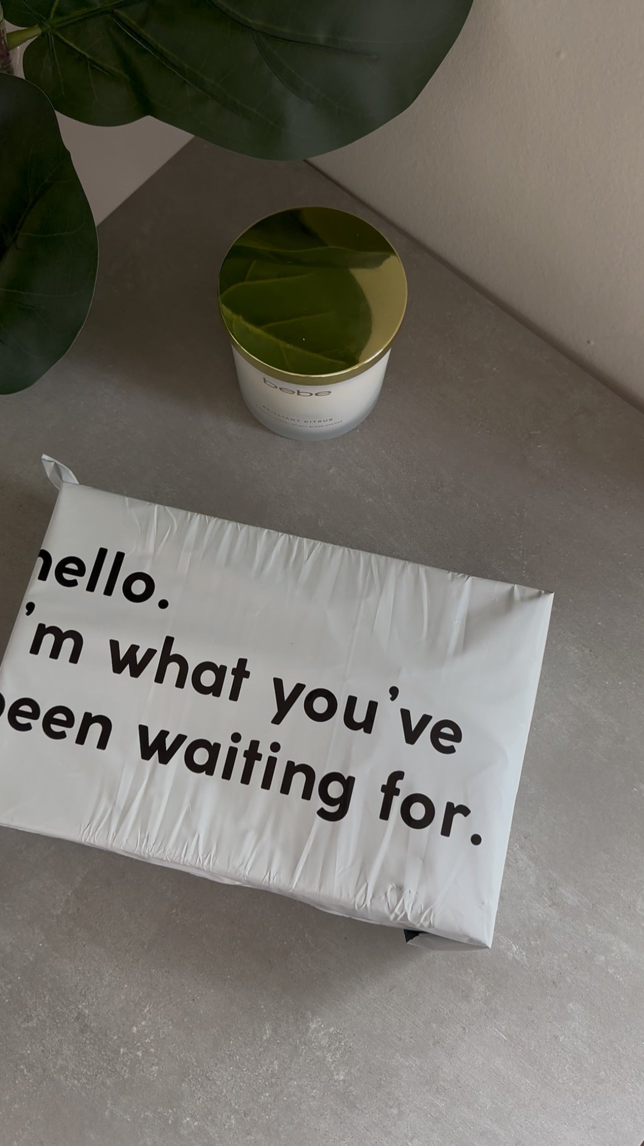 Elegant Gift Packaging for Panties